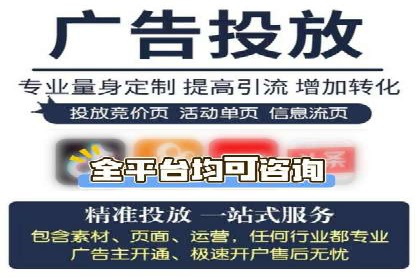 竞价广告在XX行业的成功应用案例